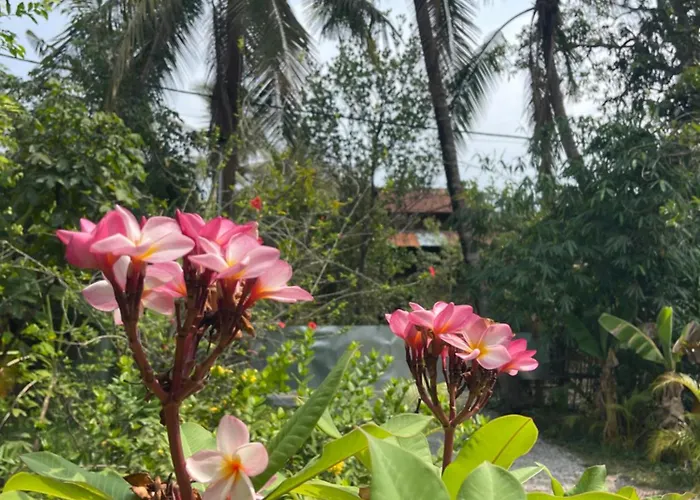 Sok Phen * Siem Reap